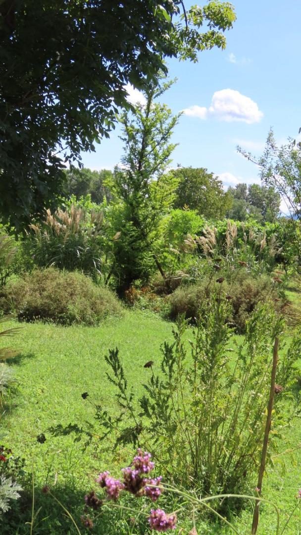 Ca Veja B&B Forlì Екстериор снимка